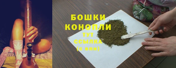 ГАЛЛЮЦИНОГЕННЫЕ ГРИБЫ Алексеевка