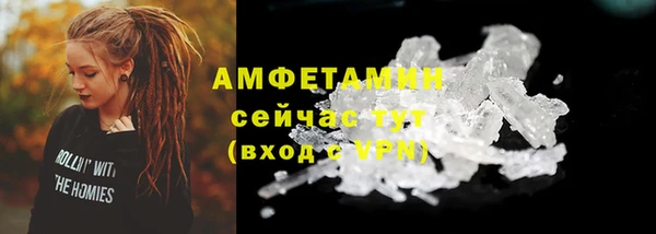 прущий лед Алзамай