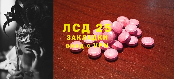 прущий лед Алзамай