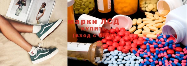 ГАЛЛЮЦИНОГЕННЫЕ ГРИБЫ Алексеевка