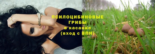 ГАЛЛЮЦИНОГЕННЫЕ ГРИБЫ Алексеевка