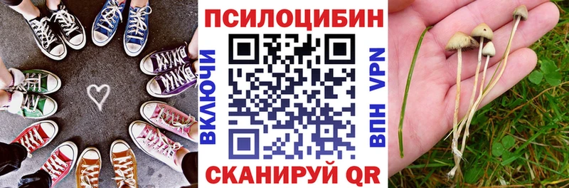kraken онион Чаплыгин Псилоцибиновые грибы Psilocybe